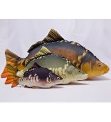 Darčeková ryba - Kapor pološupináč (35-90cm)
