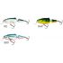 Wobler SALMO FRISKY SR 7cm/8g/1-1.5m