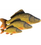 Darčeková ryba - Kapor šupináč (35-90cm)