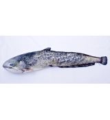 Darčeková ryba - Sumec (120cm)