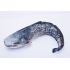 Darčeková ryba - Sumec (60-120cm)