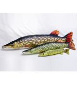 Darčeková ryba - Šťuka (45-110cm)