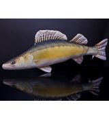 Darčeková ryba - Zubáč (77cm)