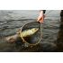 Darčeková ryba - Pstruh potočný (35-62cm)