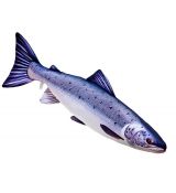 Darčeková ryba - Losos (77cm)