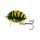 Wobler SALMO Lil´Bug 3cm/4.3g