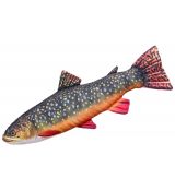 Darčeková ryba - Sivoň (35-62cm)
