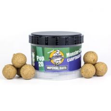 Boilies PopUp Carptrack 16-24mm Imperial Baits (65g)