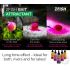 Dip Attractant Zfish (60ml)