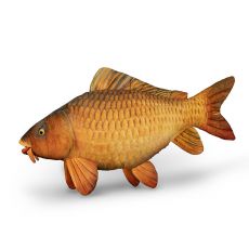 Darčeková ryba - Delphin CARPY (60cm)