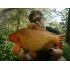 Darčeková ryba - Delphin CARPY (60cm)
