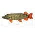 Darčeková ryba - Delphin PIKY (60cm)