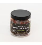 Boilies Riverbaits v dipe 16-24 mm (200g)
