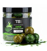 TB Baits Boosterované Boilie Amur 120g