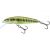 Wobler SALMO MINNOW F 7cm/6g/1-1.5m