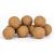Boilies PopUp Carptrack 16-24mm Imperial Baits (65g)
