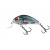 Wobler SALMO RATTLIN HORNET SR 3,5cm/3g/