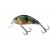 Wobler SALMO RATTLIN HORNET SR 3,5cm/3g/
