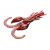 MIKADO Cray Fish 10cm (2ks)